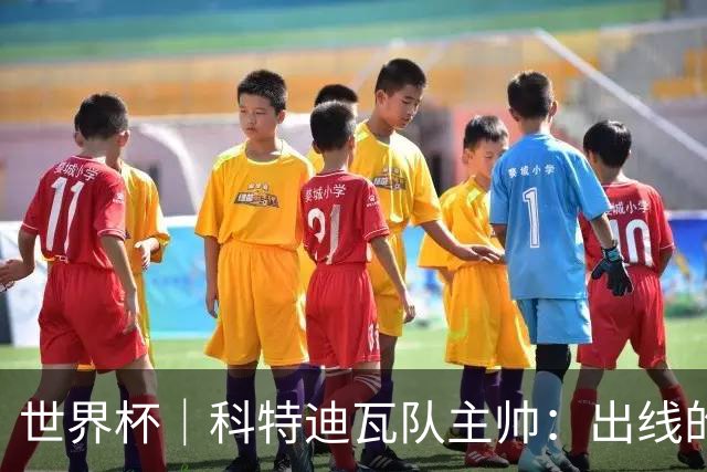 世界杯｜科特迪瓦队主帅：出线的关键在于团队成长